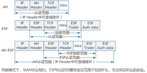 計(jì)算機(jī)網(wǎng)絡(luò)系統(tǒng) 數(shù)字時代的基石