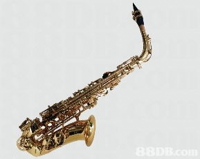 我們專為學(xué)校提供各類中西優(yōu)貿(mào)的入門樂(lè)器 樂(lè)器配件及用品,并以直銷價(jià)發(fā)售,多年來(lái)深受全港多間學(xué)校歡迎并支持使用,信心保證